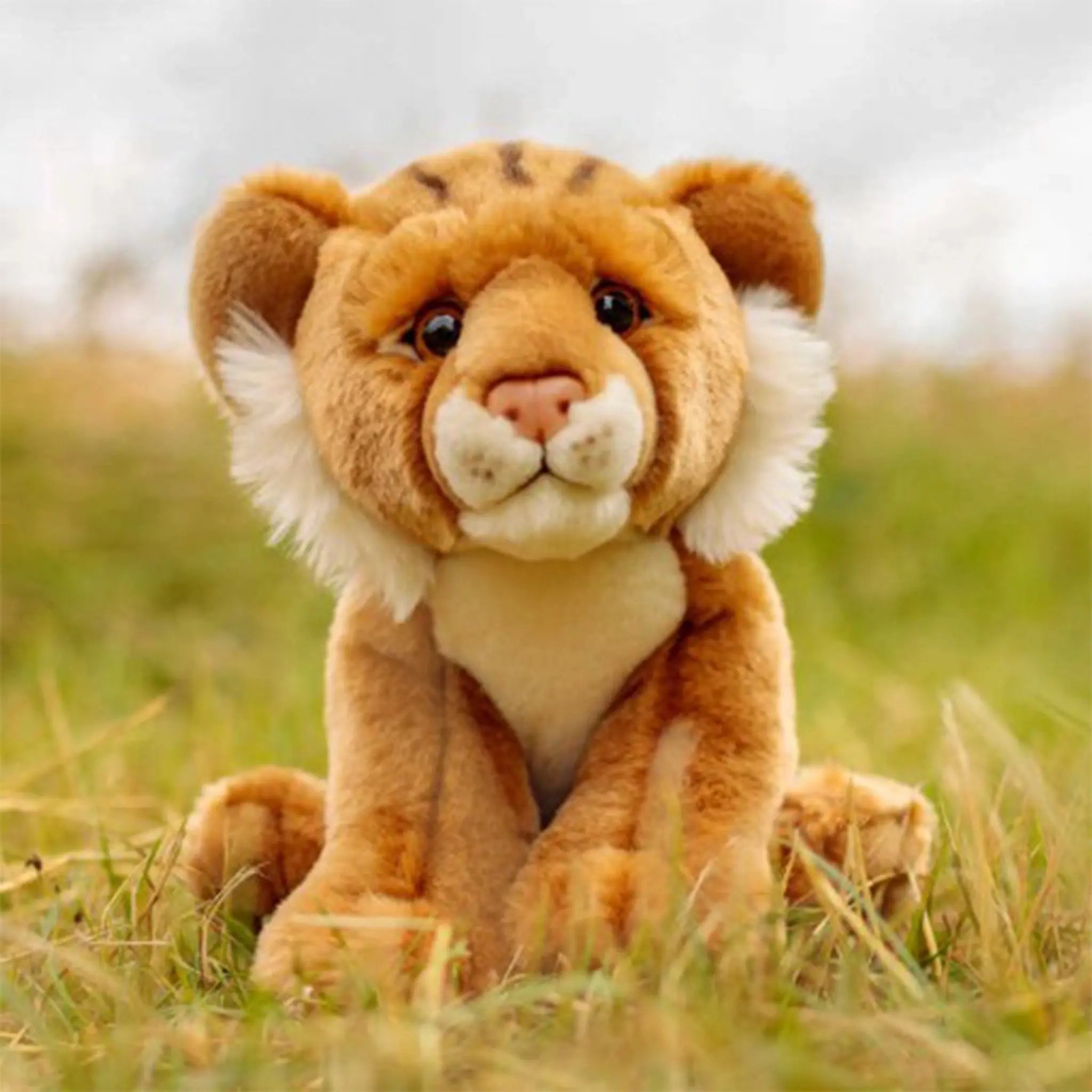 Lion best sale cub teddy