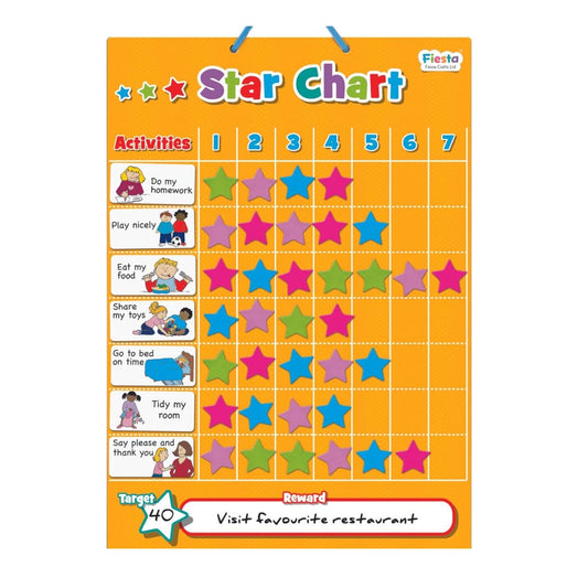 Magnetic Star Chart